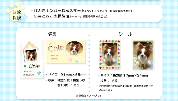 日本ペットオーナーズクラブ代理店から新規でペット保険をお申し込みいただいた方全員にご契約１件につきペットちゃんの「名刺」と「シール」を１セットずつプレゼントいたします！